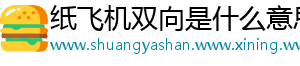纸飞机双向是什么意思